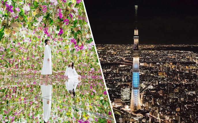teamLab Planets TOKYO floral exhibit and Tokyo Skytree illuminated at night.