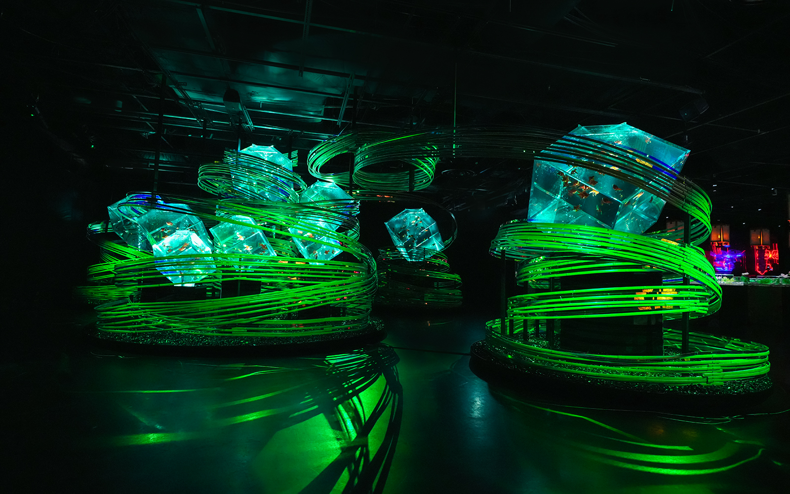 Illuminated art installation with green spirals at Art Aquarium Ginza.