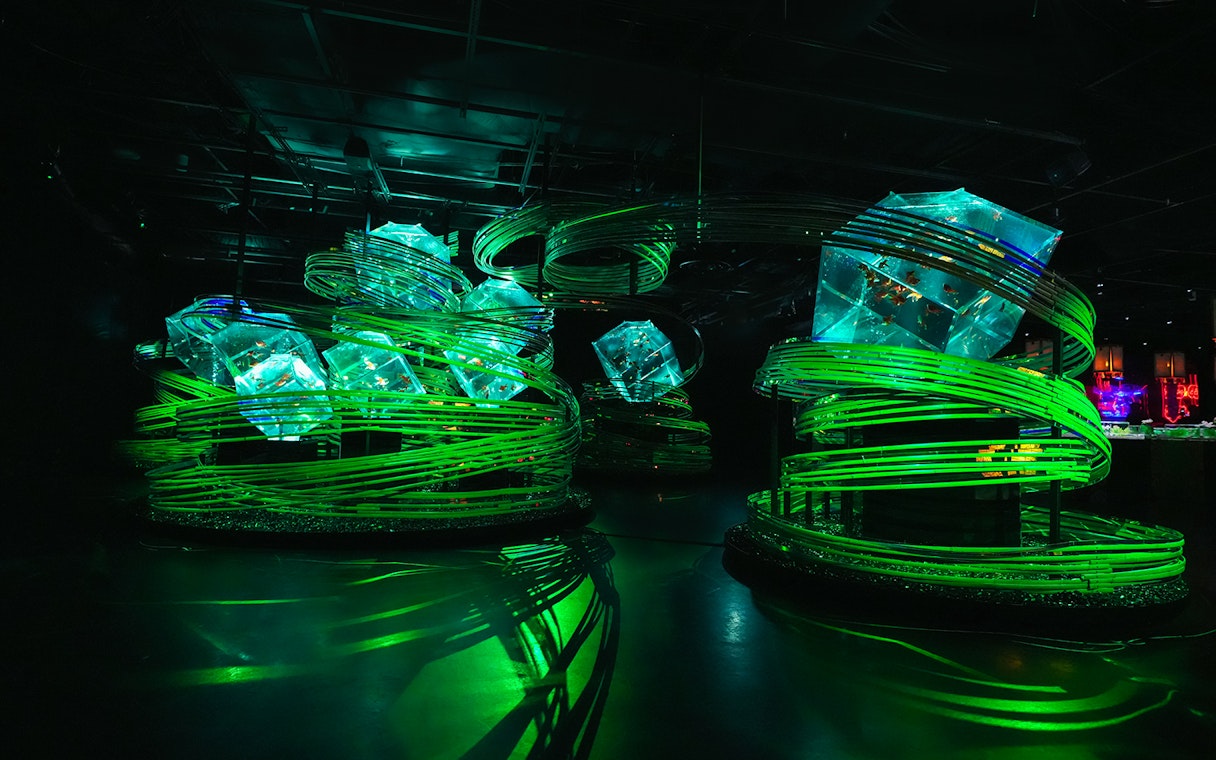 Illuminated art installation with green spirals at Art Aquarium Ginza.