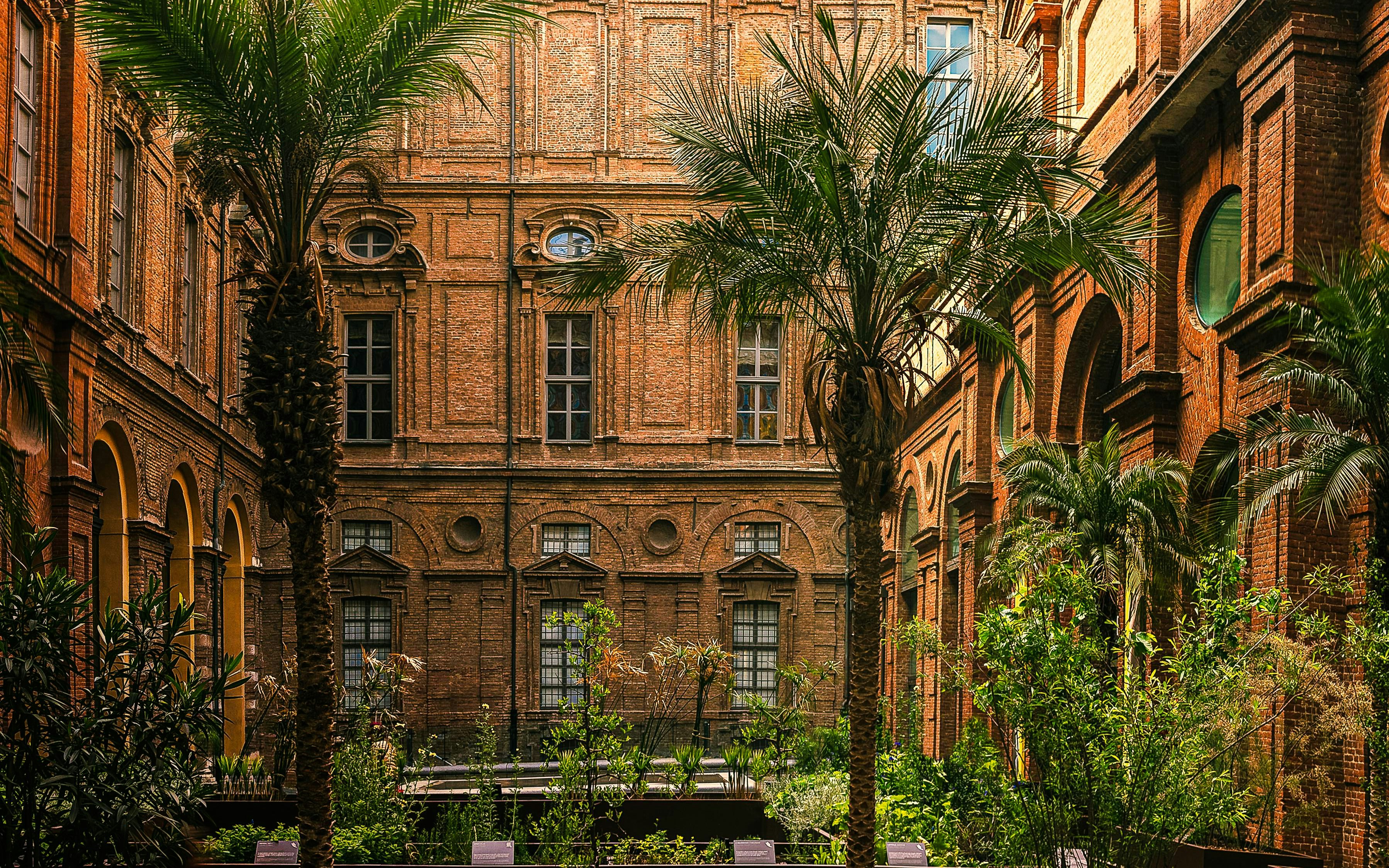 Egyptian Garden at the Egyptian Museum in Turin, Italy, with palm trees and historic architecture.