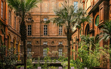 Egyptian Garden at the Egyptian Museum in Turin, Italy, with palm trees and historic architecture.
