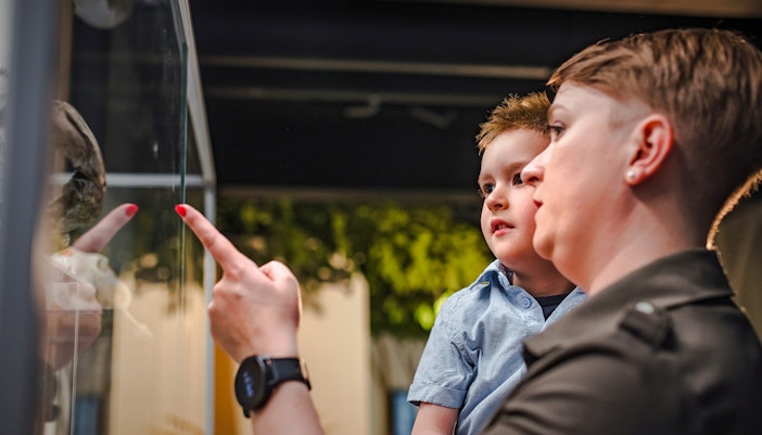 Mother and son observing exhibit inside museum.
