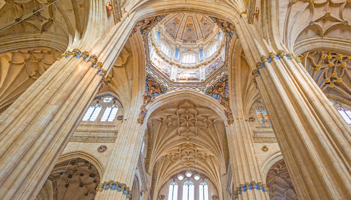 Ceiling of the Cathedral of Salamanca with ornate arches and detailed stonework.
