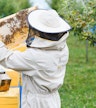 Fattoria Big Bee