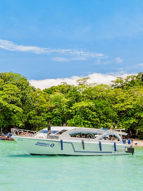 Speedboat near lush green Surin Islands shoreline, Thailand.
