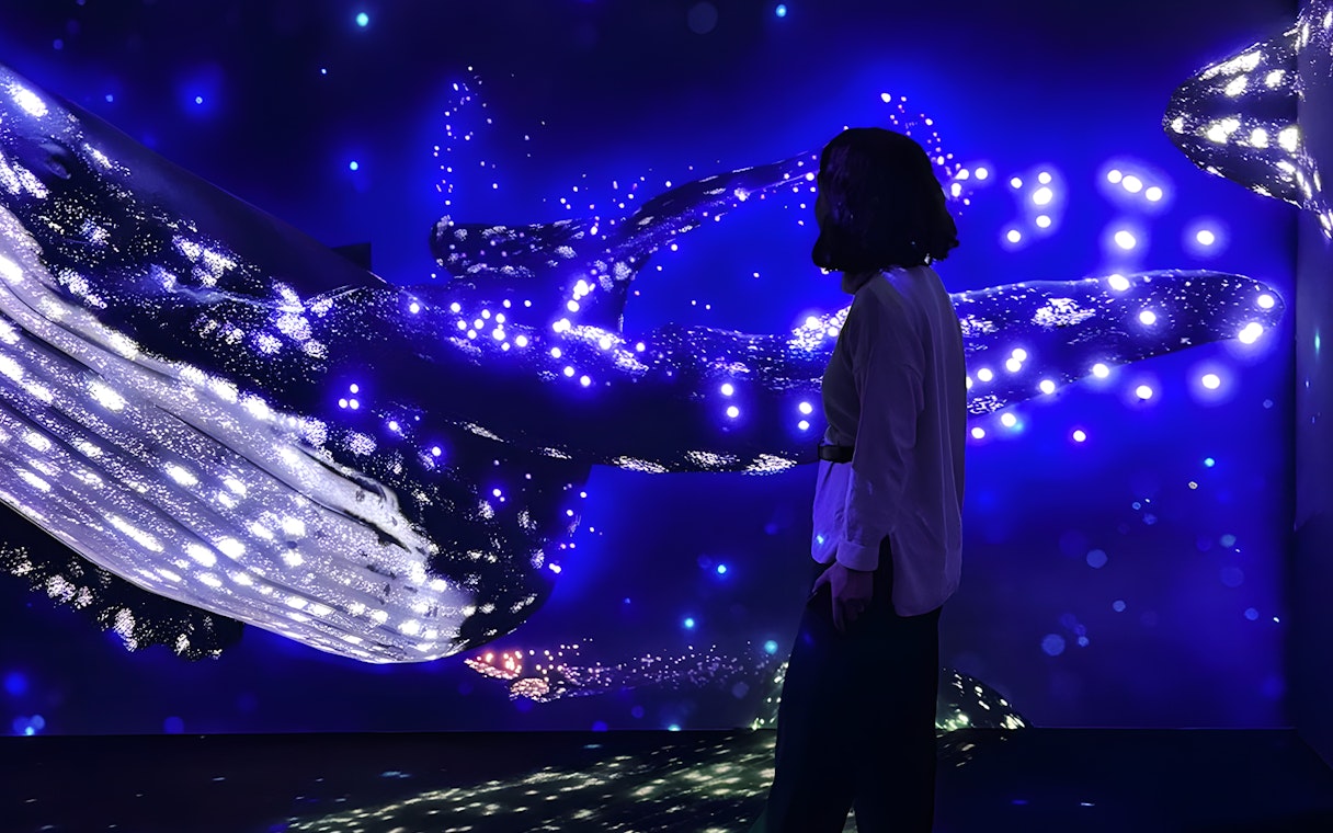 Woman observing illuminated marine display at Lisbon Oceanarium Submerged Universe.