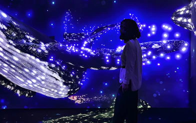 Woman observing illuminated marine display at Lisbon Oceanarium Submerged Universe.