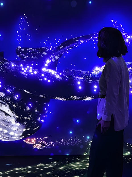 Woman observing illuminated marine display at Lisbon Oceanarium Submerged Universe.