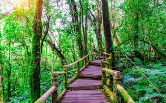 from chiang mai: doi inthanon national park tour-9