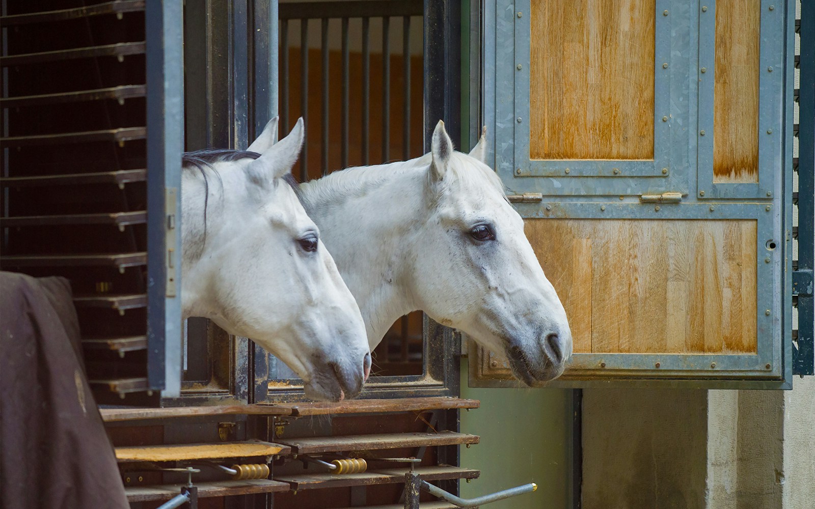 Spanish Riding School stables