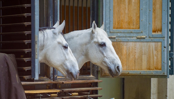 Estábulos de cavalos na Escola de Equitação Espanhola