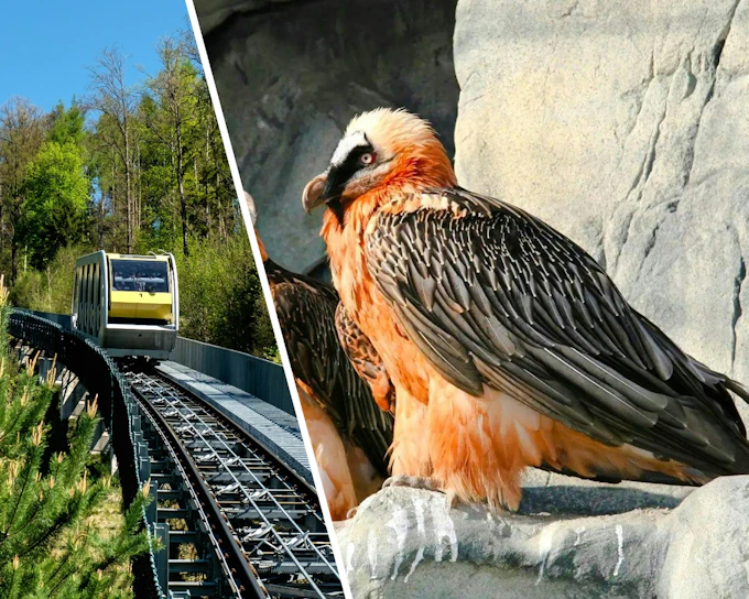 Alpine Zoo Entry Tickets with Hungerburg Funicular Round-Trip Ride (Product 13777)