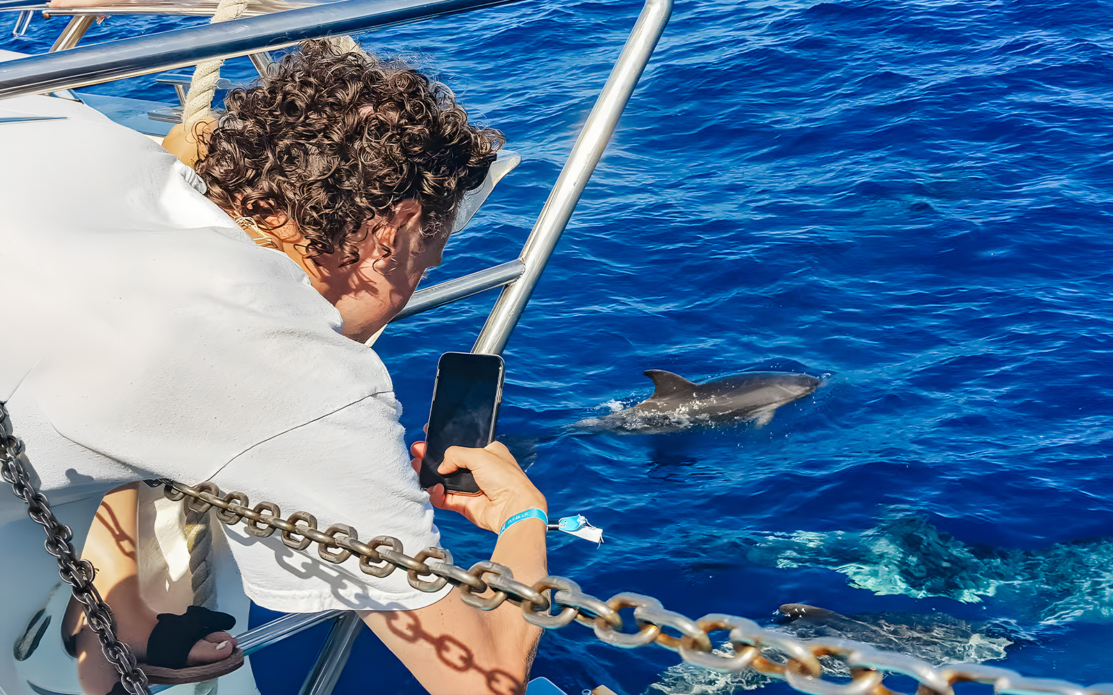 Tourist photographing dolphins from a Gran Canaria cruise boat.