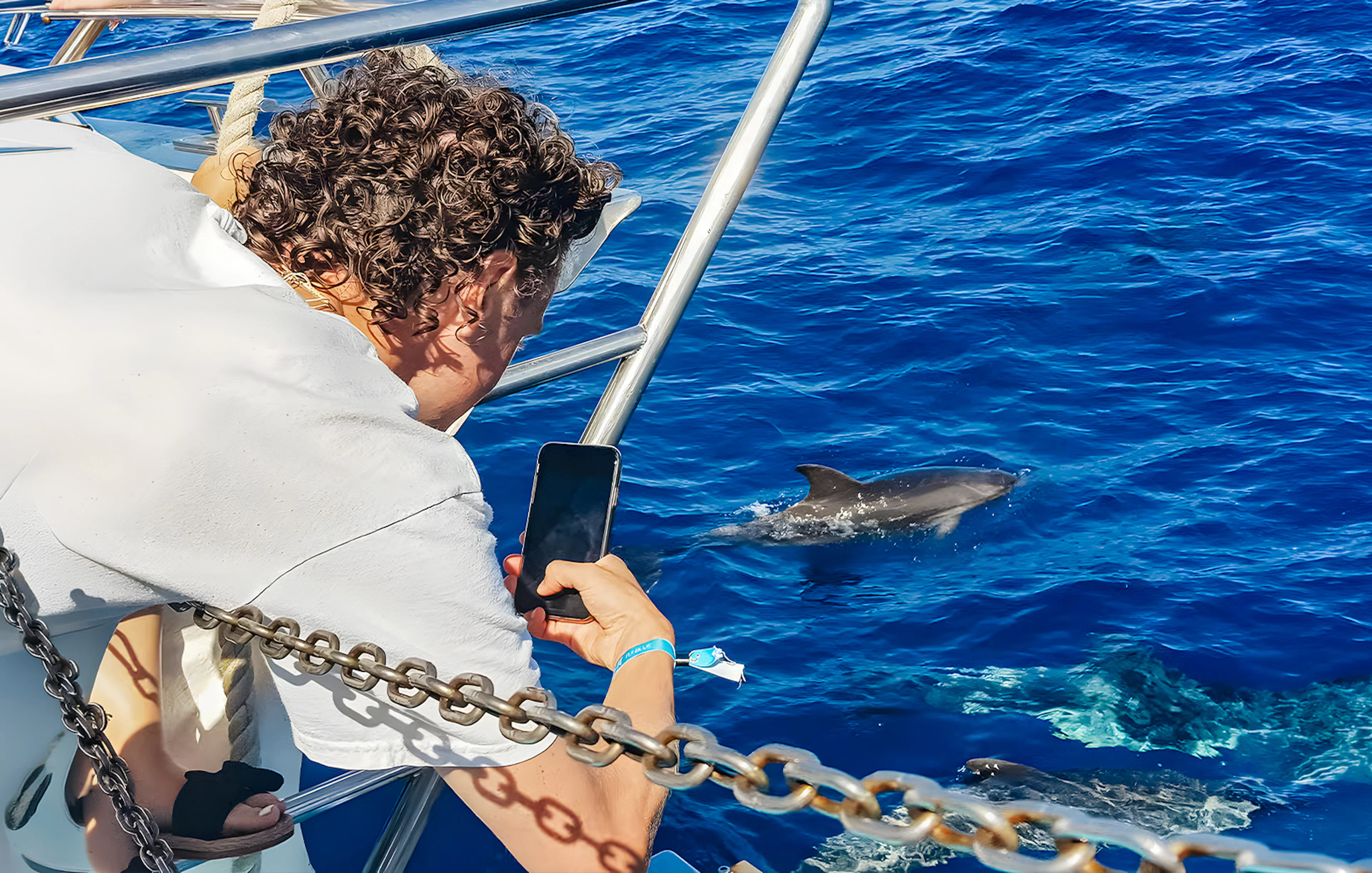 Tourist photographing dolphins from a Gran Canaria cruise boat.