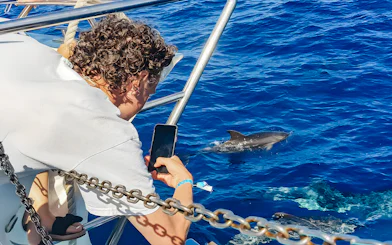 Tourist photographing dolphins from a Gran Canaria cruise boat.