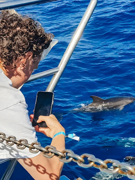 Tourist photographing dolphins from a Gran Canaria cruise boat.
