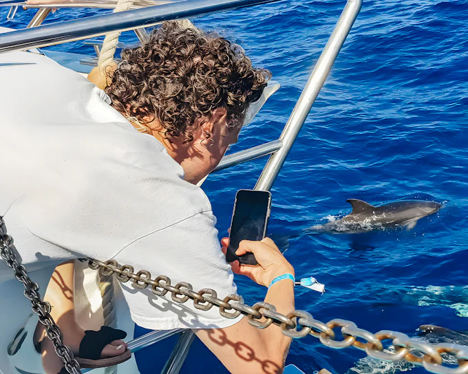 Gran Canaria: Dolphin & Whale Watching Cruise with Glass Bottom & Snorkeling