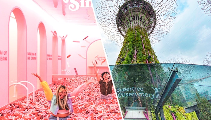 Museum of ice cream and Supertree Observatory