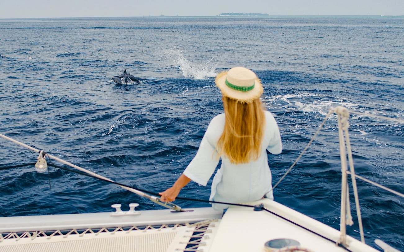 Dolphin watching from a boat on the Taormina coast during a guided sunset excursion.