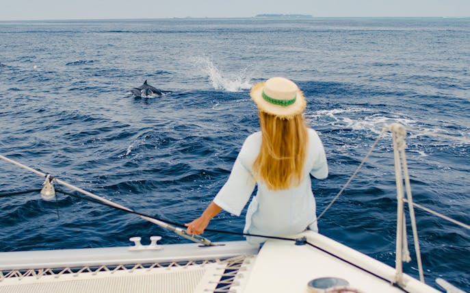 Dolphin watching from a boat on the Taormina coast during a guided sunset excursion.