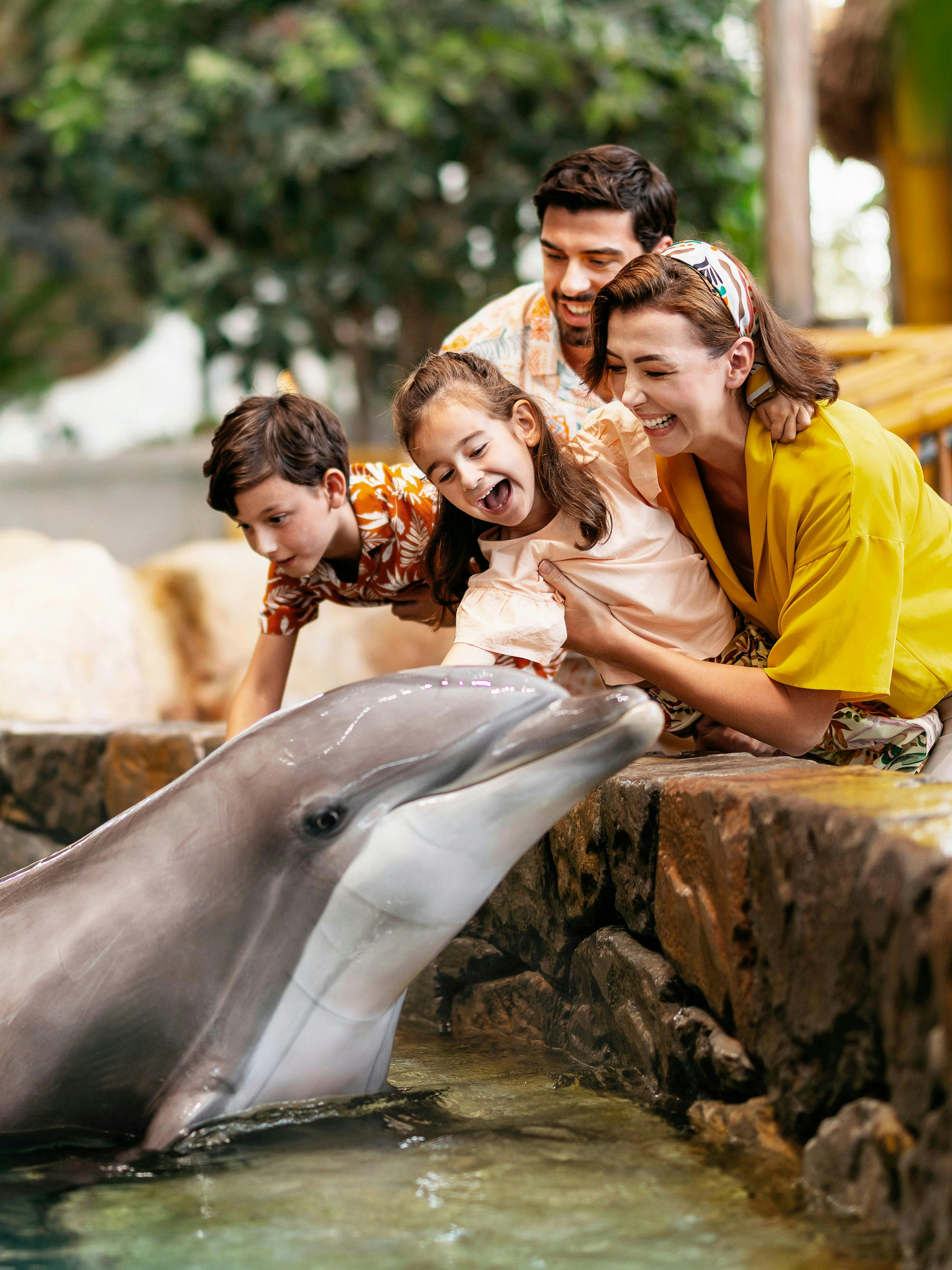 ingressos seaworld abu dhabi-1