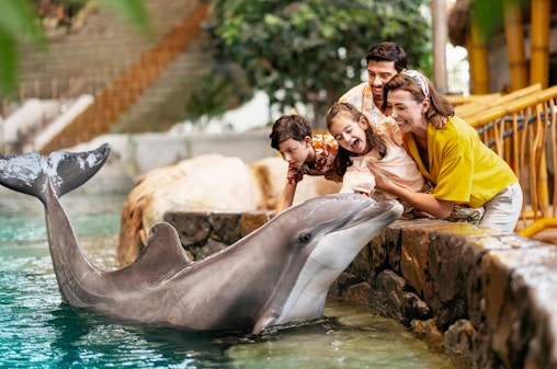 SeaWorld Abu Dhabi Eintrittstickets
