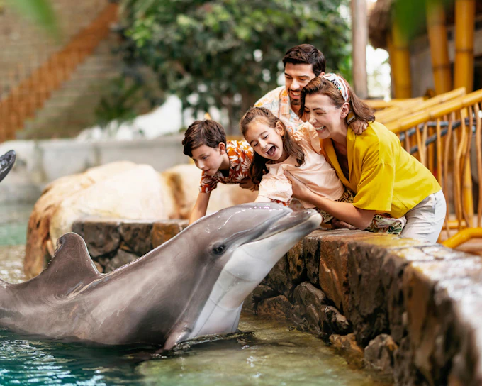 SeaWorld Abu Dhabi Tickets