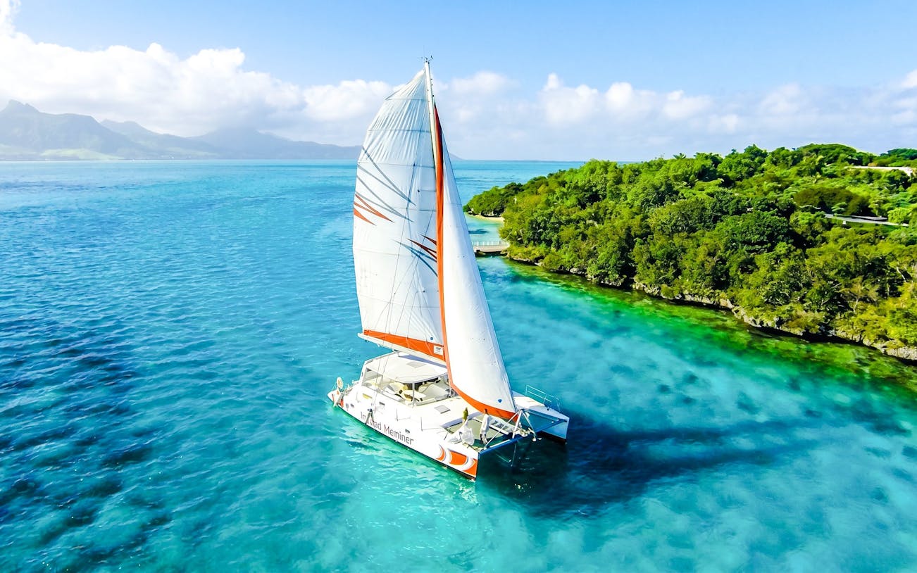 Catamaran sailing near Ile aux Cerf with lush greenery and clear blue waters.