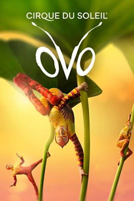 Performers in colorful costumes hanging from green stems, Cirque du Soleil OVO.