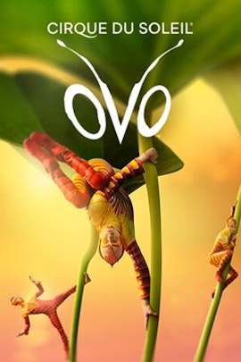 Cirque du Soleil OVO