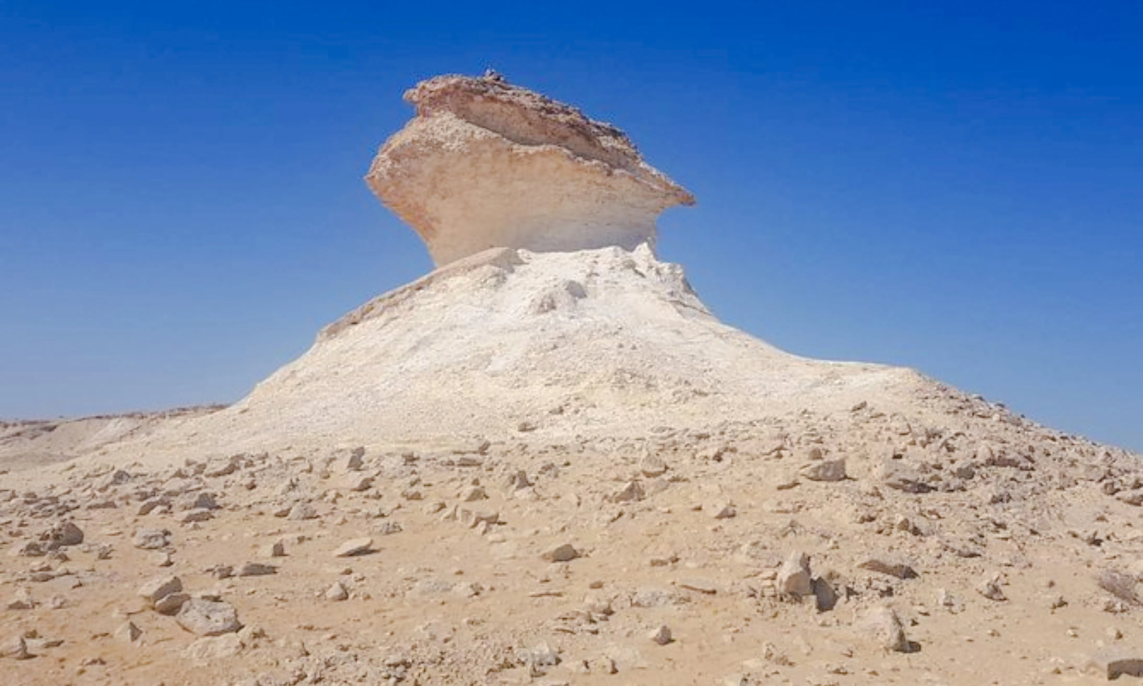 west qatar half-day private tour: zekreet fort, richard serra east-west/west-east & camel racetrack-1