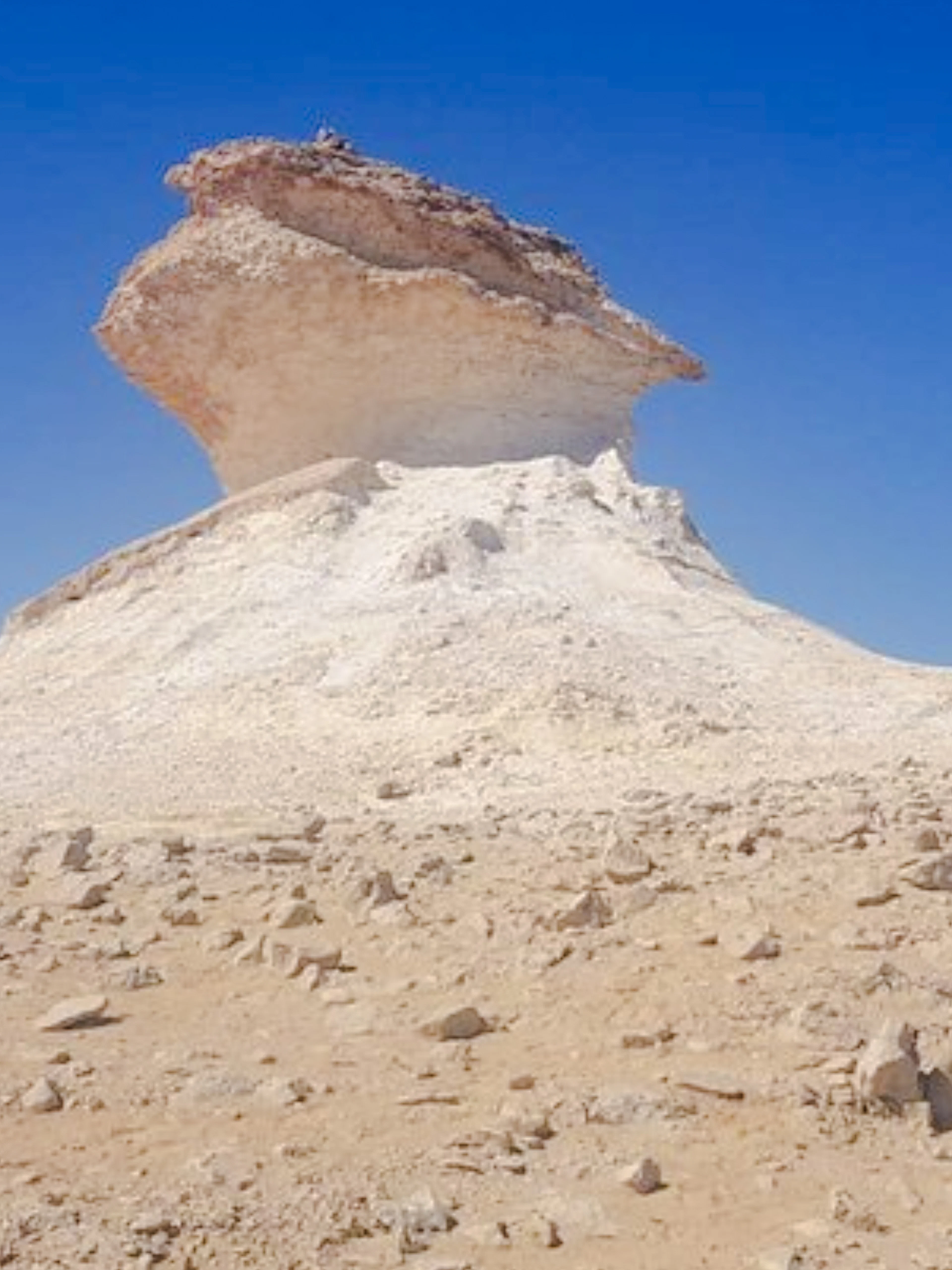 #west qatar half-day private tour: zekreet fort, richard serra east-west/west-east & camel racetrack-1
