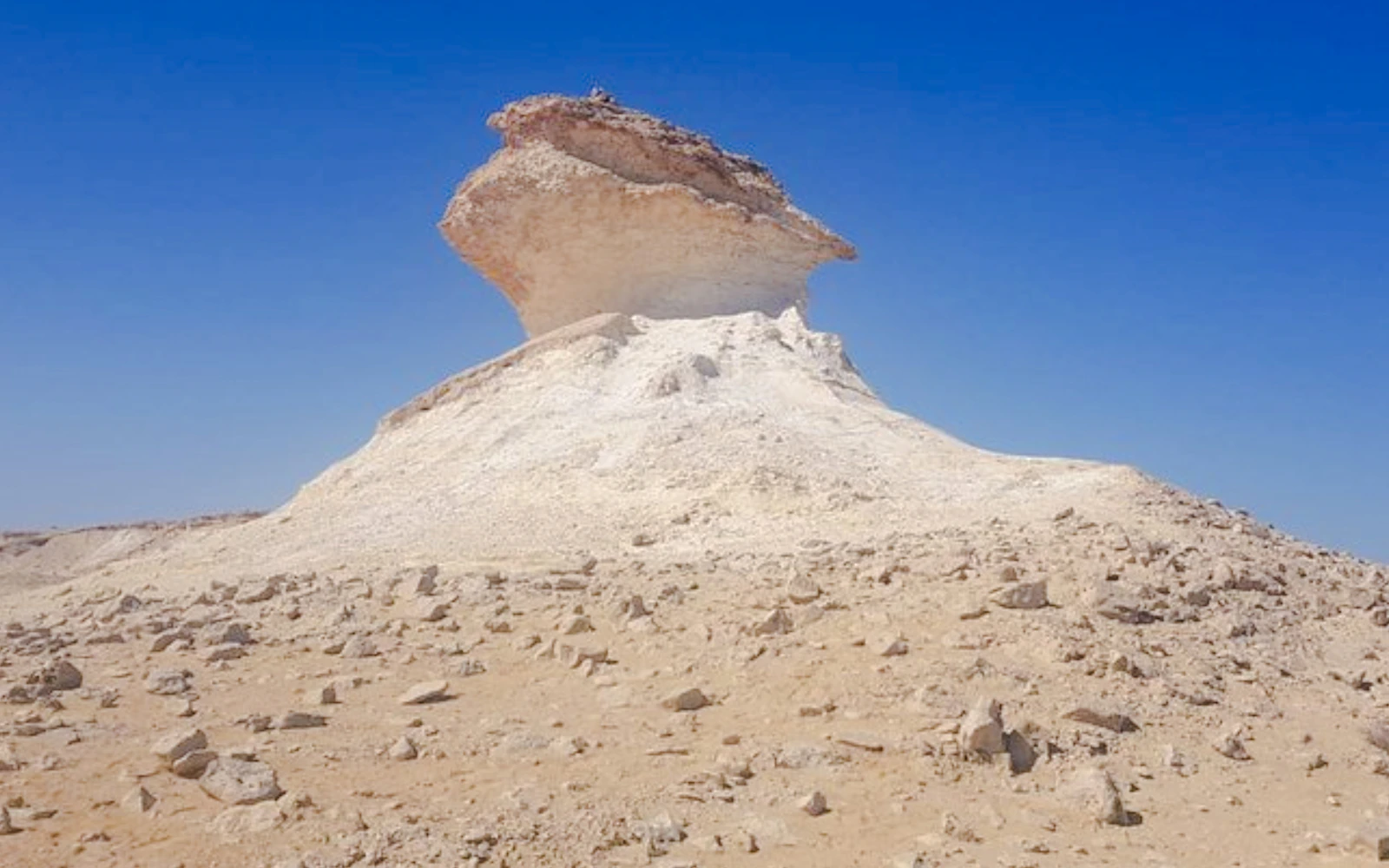 West Qatar Half-Day Private Tour: Zekreet Fort, Richard Serra East-West/West-East & Camel Racetrack (Product 53775)