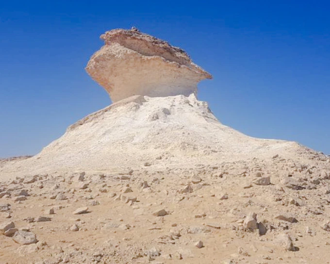 West Qatar Half-Day Private Tour: Zekreet Fort, Richard Serra East-West/West-East & Camel Racetrack