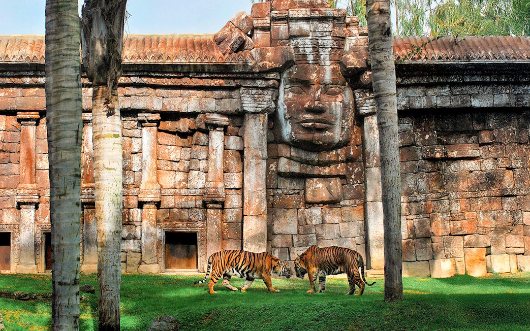 Tigers in front of ancient-style stone structure at Bioparc Valencia.