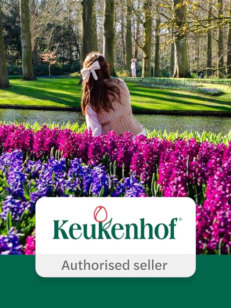 Visitors enjoying vibrant flowers at Keukenhof Gardens, Amsterdam.