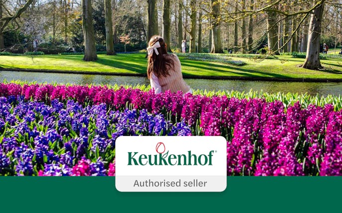 Visitors enjoying vibrant flowers at Keukenhof Gardens, Amsterdam.