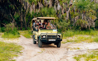 da zanzibar: safari in aereo al parco nazionale di mikumi-7