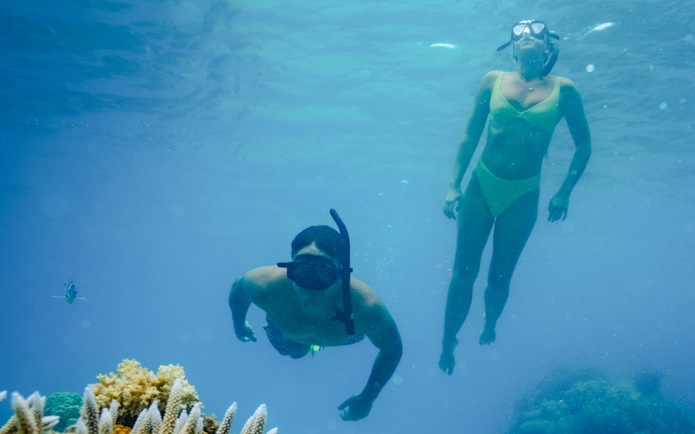 Couple snorkeling over coral reef, South Sea Cats, Fiji.