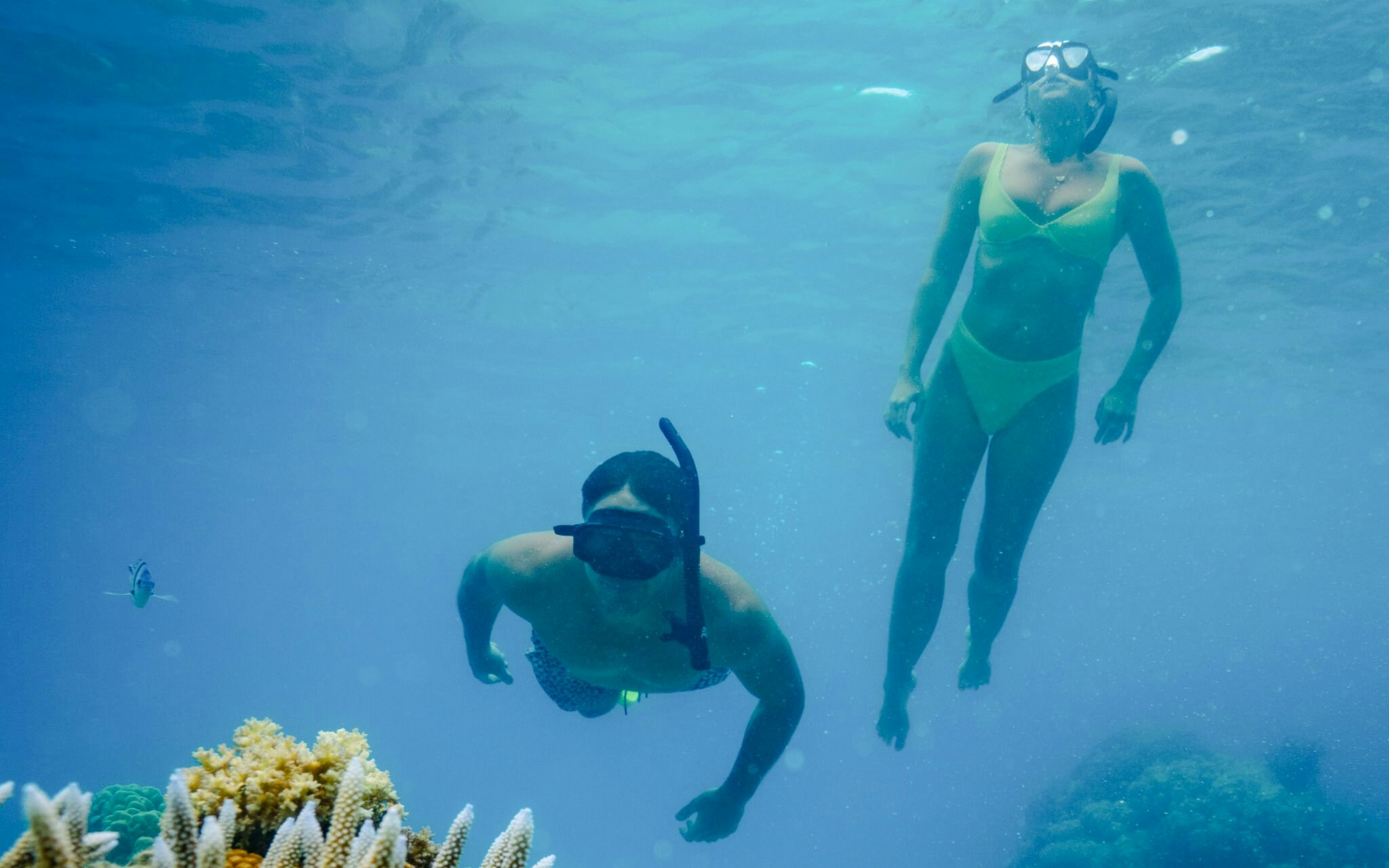 Couple snorkeling over coral reef, South Sea Cats, Fiji.
