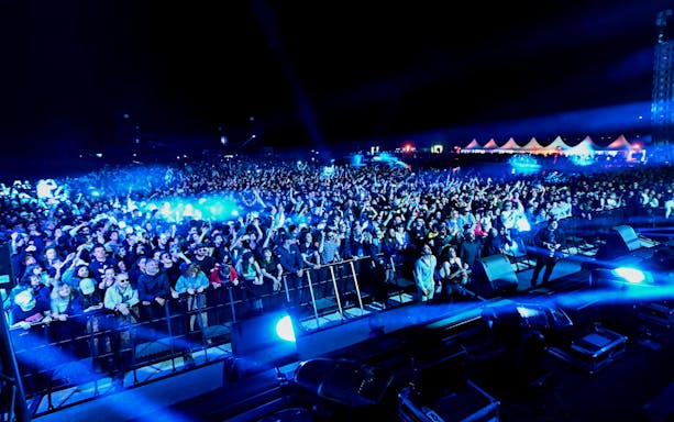 Crowd enjoying a nighttime electronic music concert at Versailles.