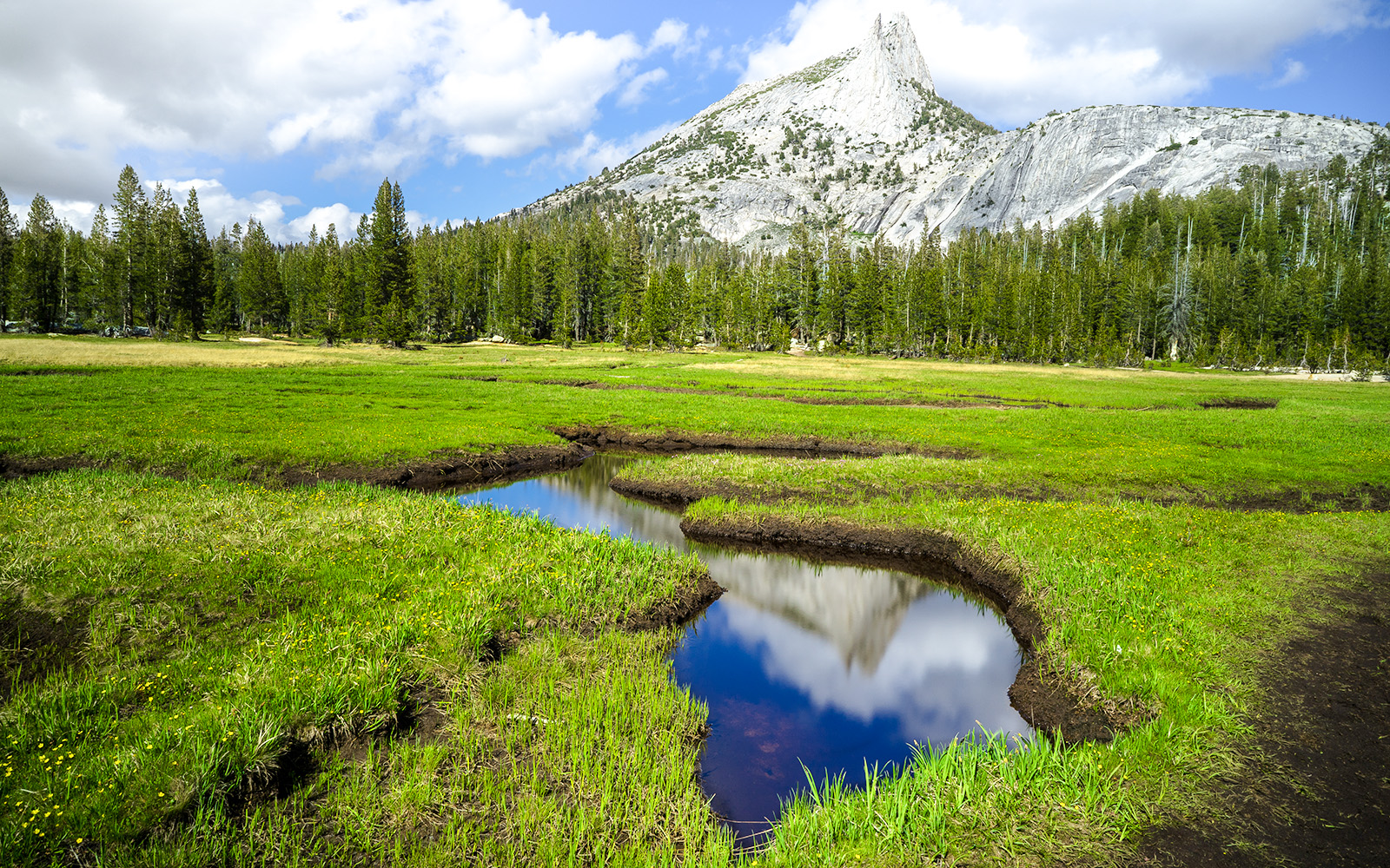 Cathedral Mountain Peak reflected in a meadow pond, Yosemite National Park.