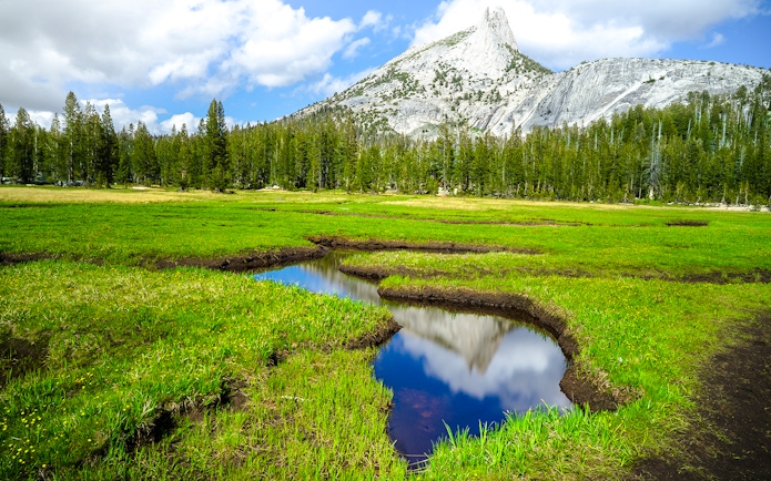 Cathedral Mountain Peak reflected in a meadow pond, Yosemite National Park.