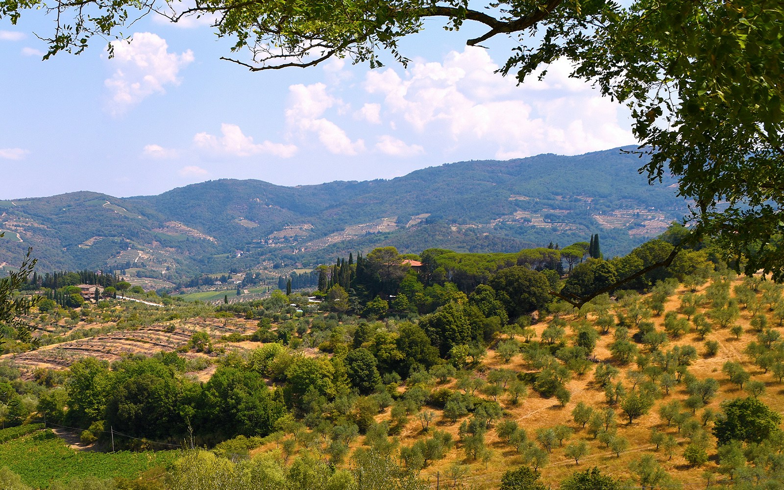 Panzano in Chianti