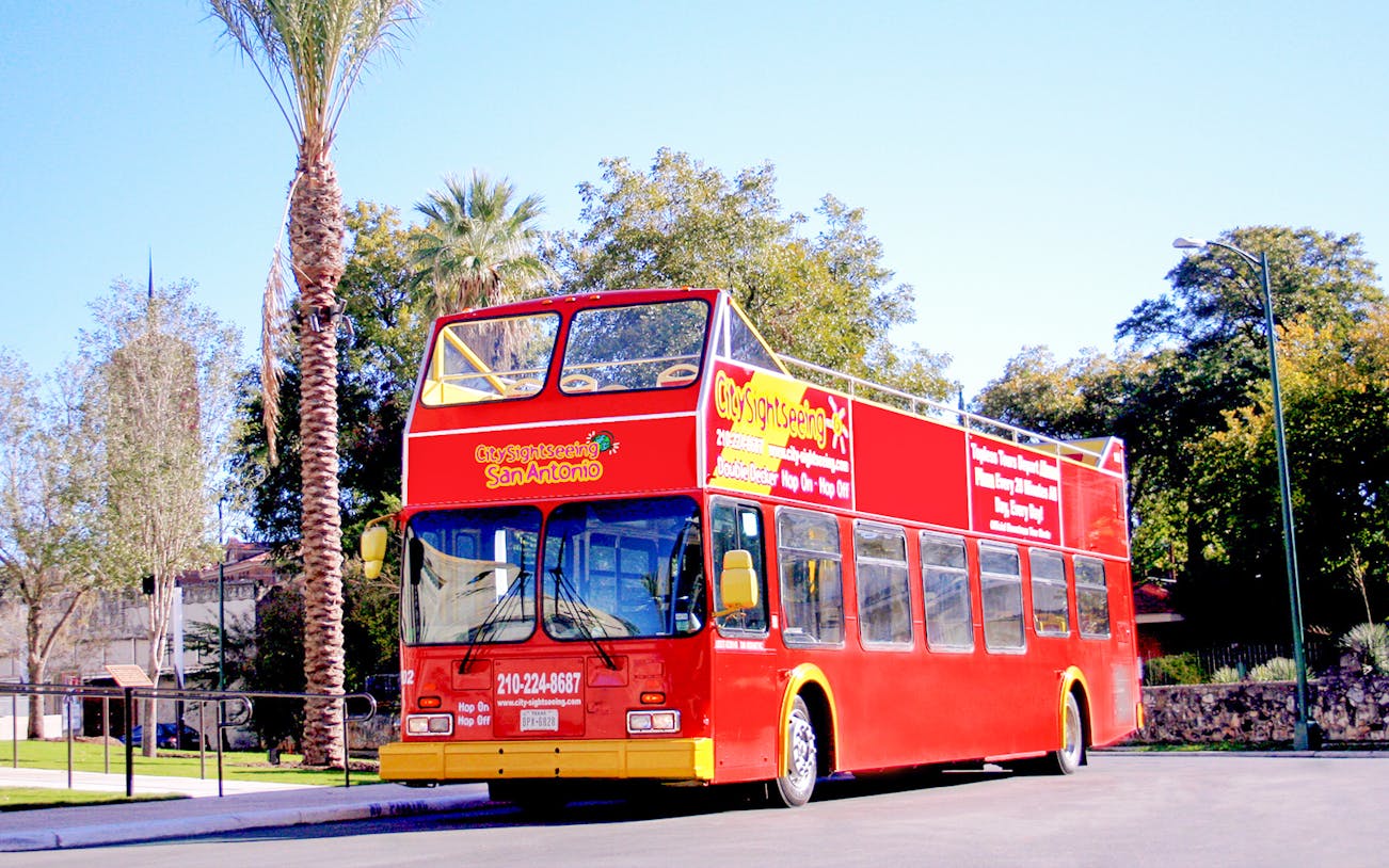 Red double-decker bus for San Antonio Hop-On-Hop-Off Tour near palm trees.