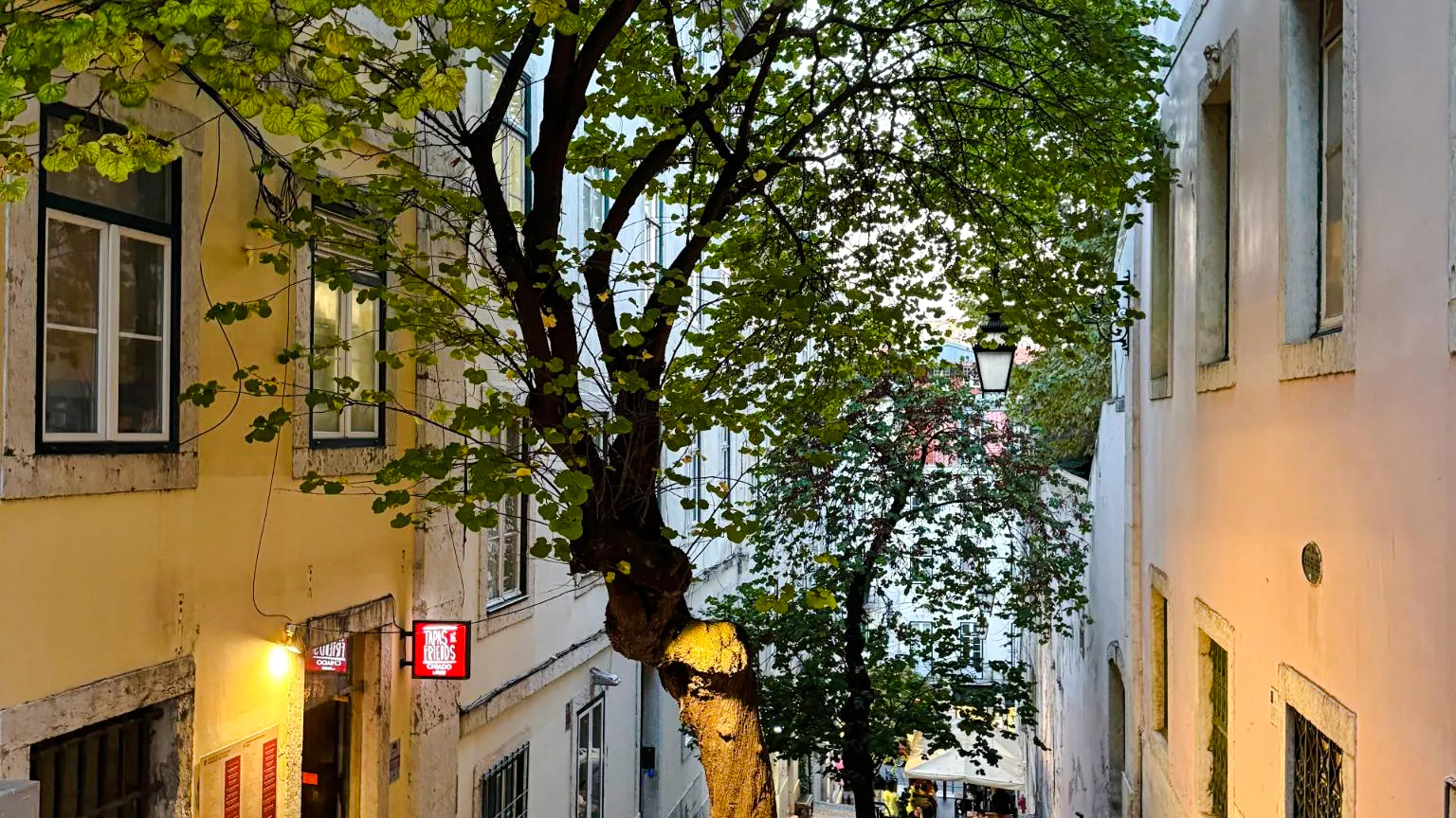 Narrow street in Lisbon with tree and traditional buildings, part of vegan food and culture walking tour.