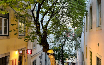 Narrow street in Lisbon with tree and traditional buildings, part of vegan food and culture walking tour.