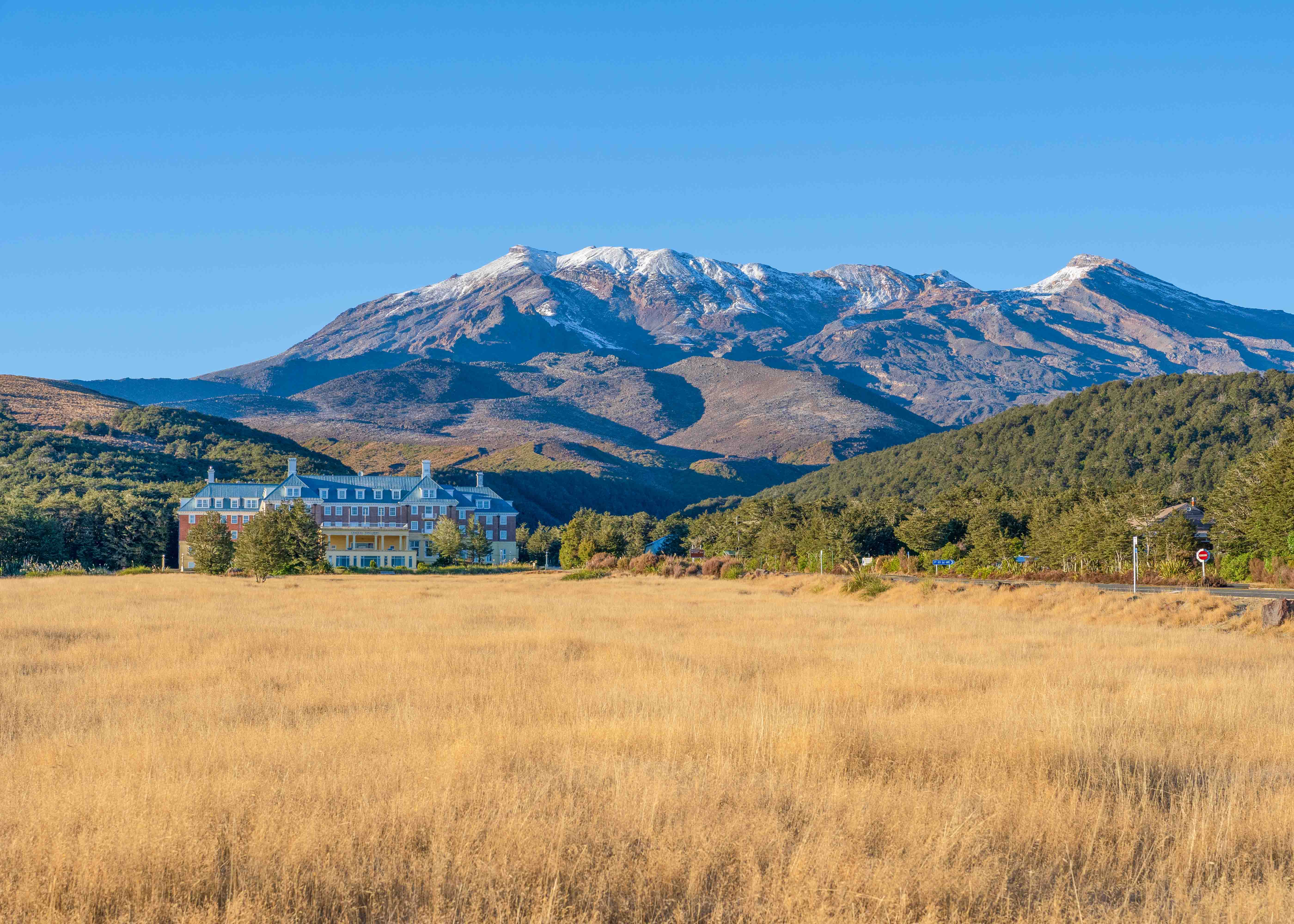 Day Trips from Auckland