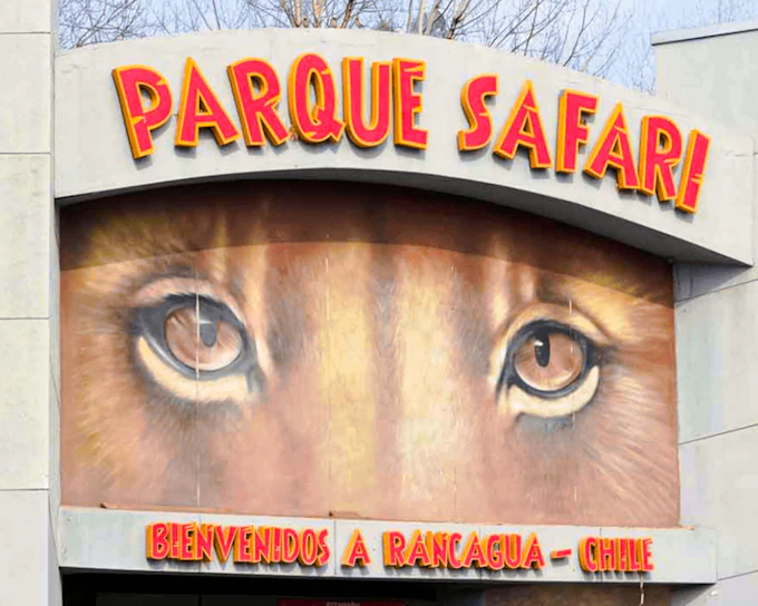 From Santiago: Parque Safari Tour with Park Admission and Breakfast (Product 56302)