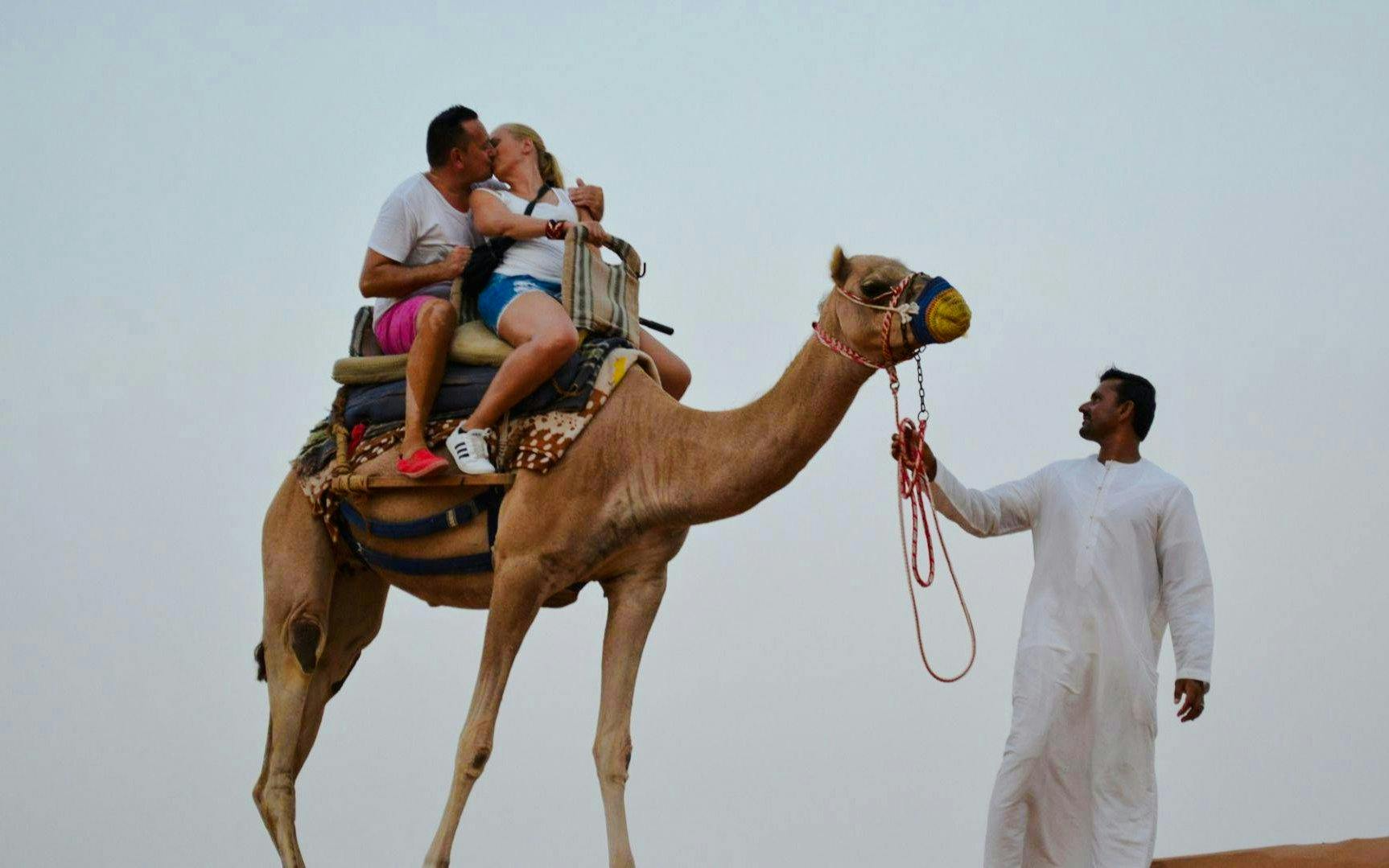randonnée à dos de chameau au campement bédouin de l'oasis de ras al khaimah, avec transferts à rak-2